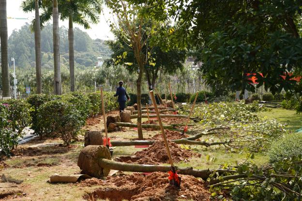 圖片4.png 圖片4.png